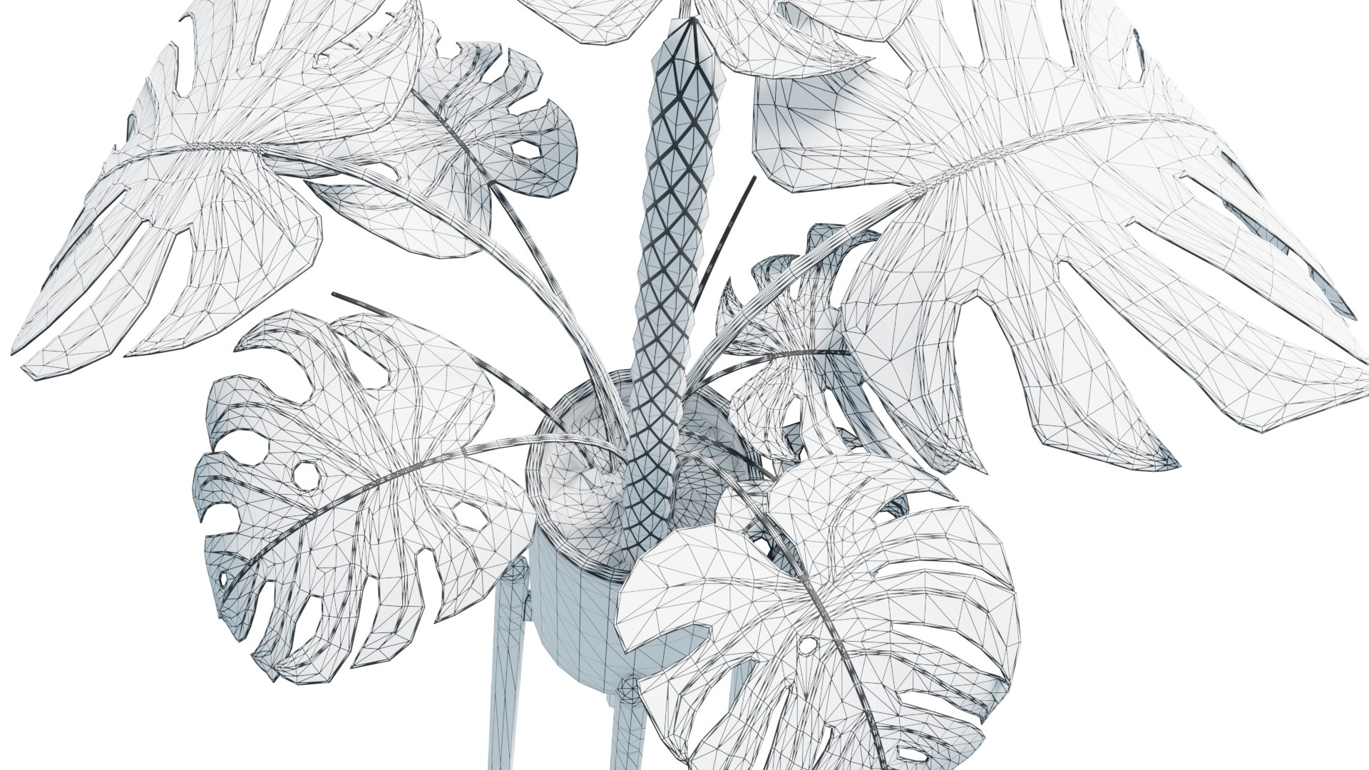 Flower in pot 01 3D model https://p.turbosquid.com/ts-thumb/Lc/5SK98H/Ry/monstera_wireframe_low_rend_003/png/1648070806/1920x1080/fit_q87/d13dad7b877918e69886f97573744e4ee190d1bf/monstera_wireframe_low_rend_003.jpg
