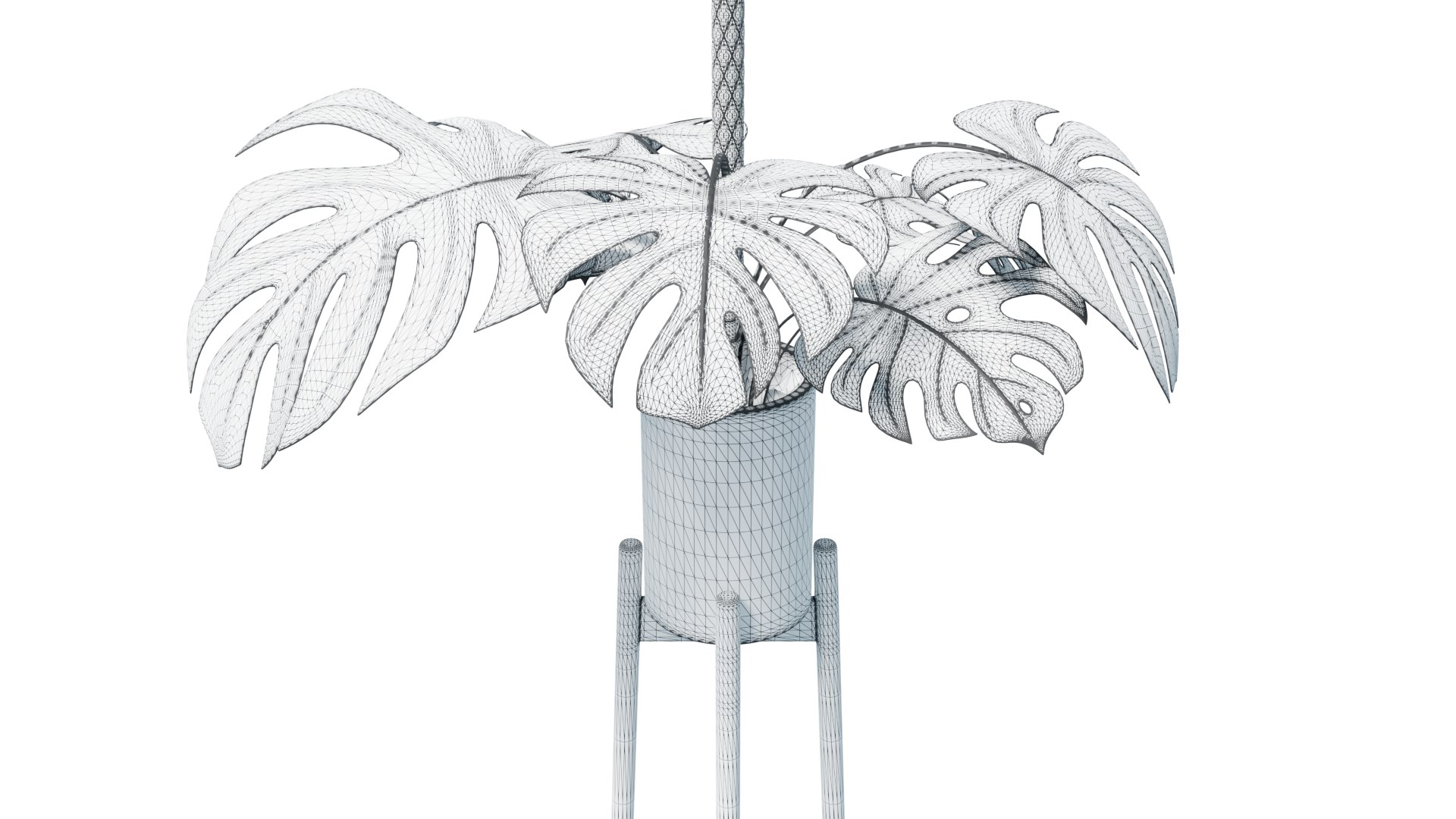 Flower in pot 01 3D model https://p.turbosquid.com/ts-thumb/Lc/5SK98H/dk/monstera_wireframe_rend_001/png/1648070799/1920x1080/fit_q87/68e107824a0ea55b7dbe04ff9a7737b5e6c416ff/monstera_wireframe_rend_001.jpg