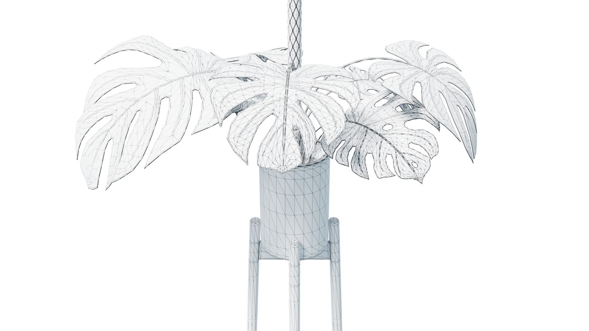 Flower in pot 01 3D model https://p.turbosquid.com/ts-thumb/Lc/5SK98H/iN/monstera_wireframe_low_rend_001/png/1648070800/1920x1080/fit_q87/21241250937b1fd9eaf258e0c42289149685ff47/monstera_wireframe_low_rend_001.jpg