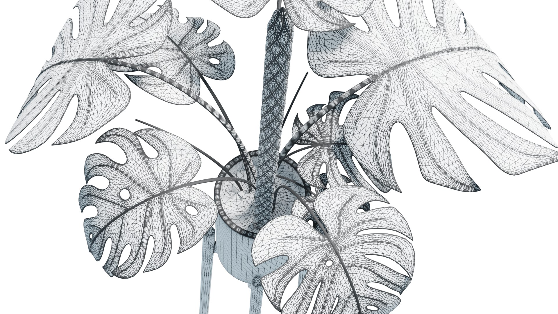 Flower in pot 01 3D model https://p.turbosquid.com/ts-thumb/Lc/5SK98H/lc/monstera_wireframe_rend_003/png/1648070809/1920x1080/fit_q87/77288dba720ffdf7197efc144e6a333ded1a4771/monstera_wireframe_rend_003.jpg