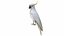 Cockatoo Parrot