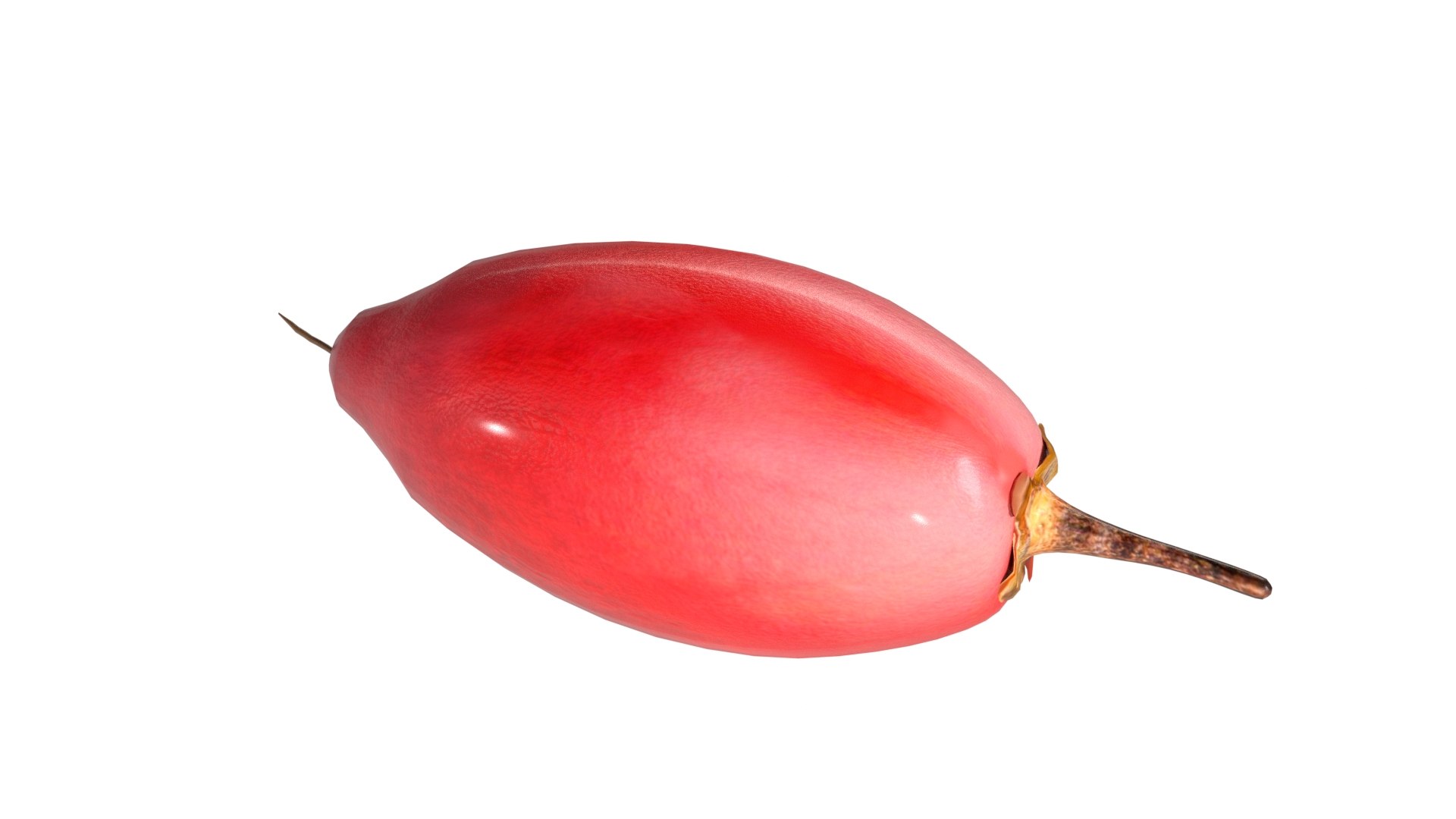 Miracle Fruit 3D https://p.turbosquid.com/ts-thumb/Lc/QXzTYj/Pj/4/jpg/1778853355/1920x1080/fit_q87/ef2ff5b4b377ef73a8ff5945875ea557105b56a8/4.jpg