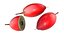Miracle Fruit
