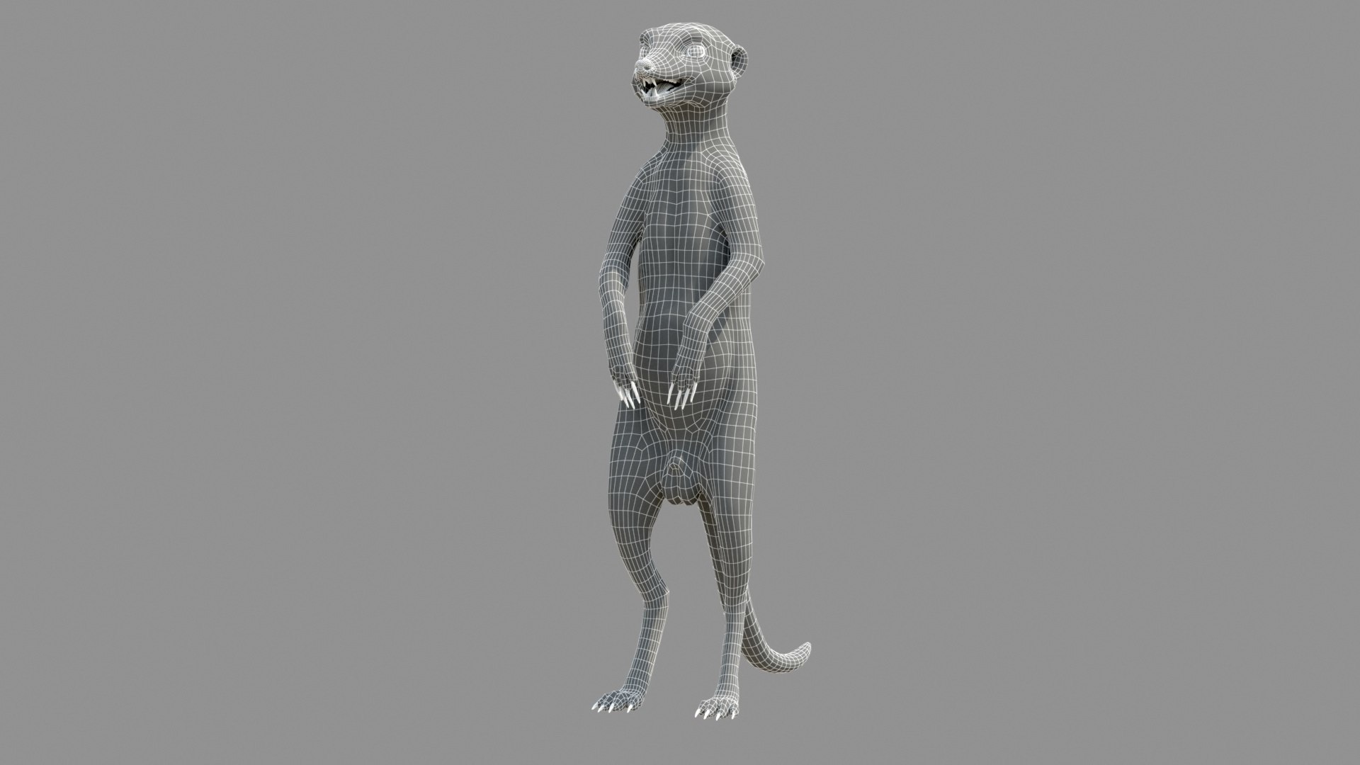 3D Meerkat Realistic - TurboSquid 1540248