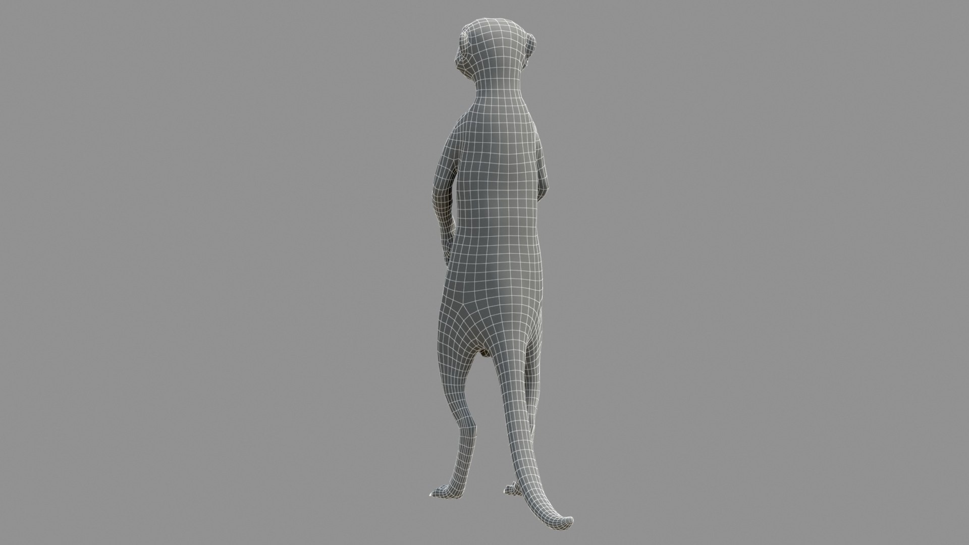 3D Meerkat Realistic - TurboSquid 1540248