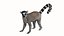 Lemur monkey 3D model