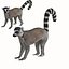 Lemur monkey 3D model