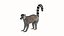 Lemur monkey 3D model