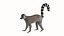 Lemur monkey 3D model