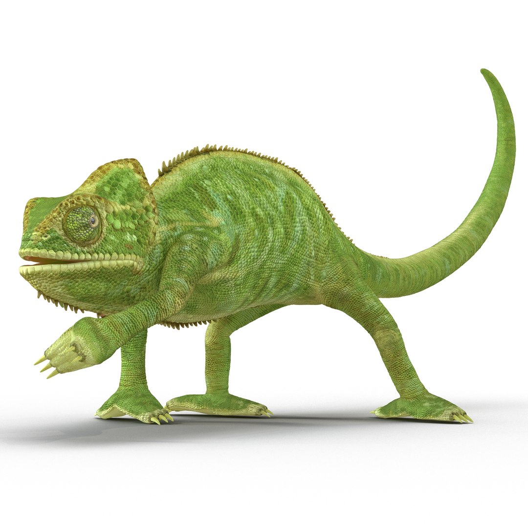 3d model chameleon pose 3 https://p.turbosquid.com/ts-thumb/Lc/kXDWdC/PB4Nk6ea/chameleon3ds3dmodel02/jpg/1458309999/1920x1080/fit_q87/6653daeed6a0d36c1763d8fe84194f386e313d52/chameleon3ds3dmodel02.jpg