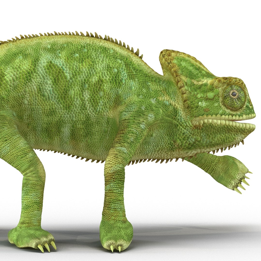 3d model chameleon pose 3