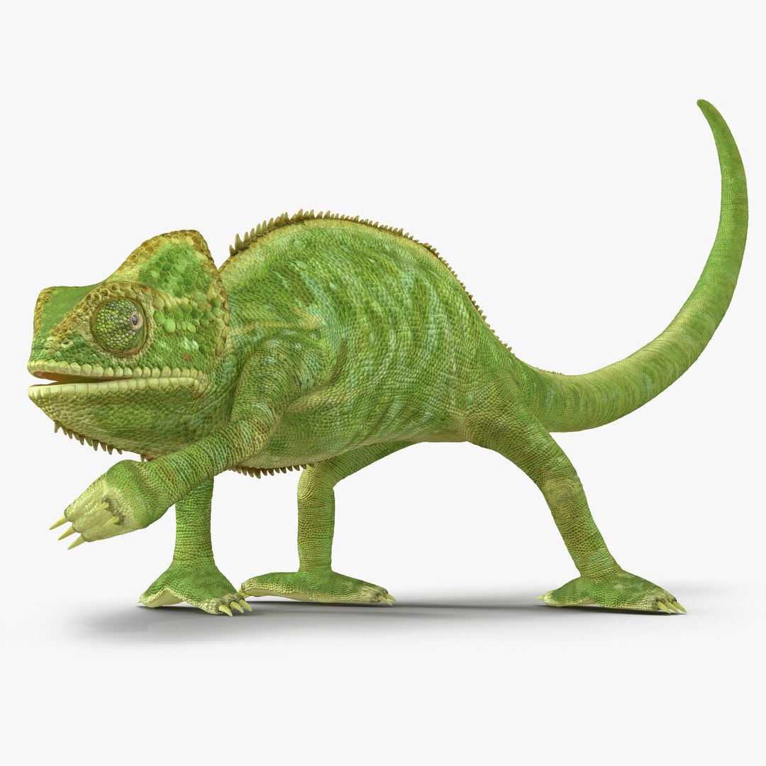 Chameleon Pose 3 3D model preview