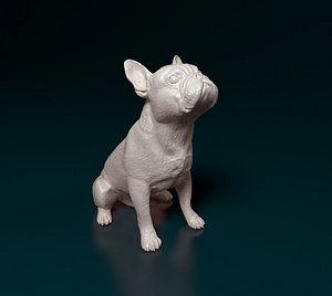 3D model French Bulldog