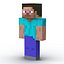 Minecraft Collection