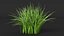 Collection de touffes d'herbe