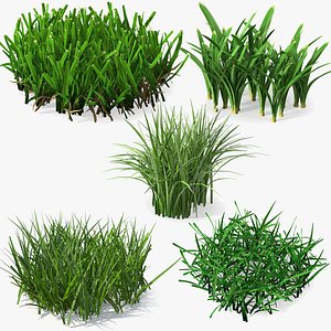 3D Grass Clumps Collection model
