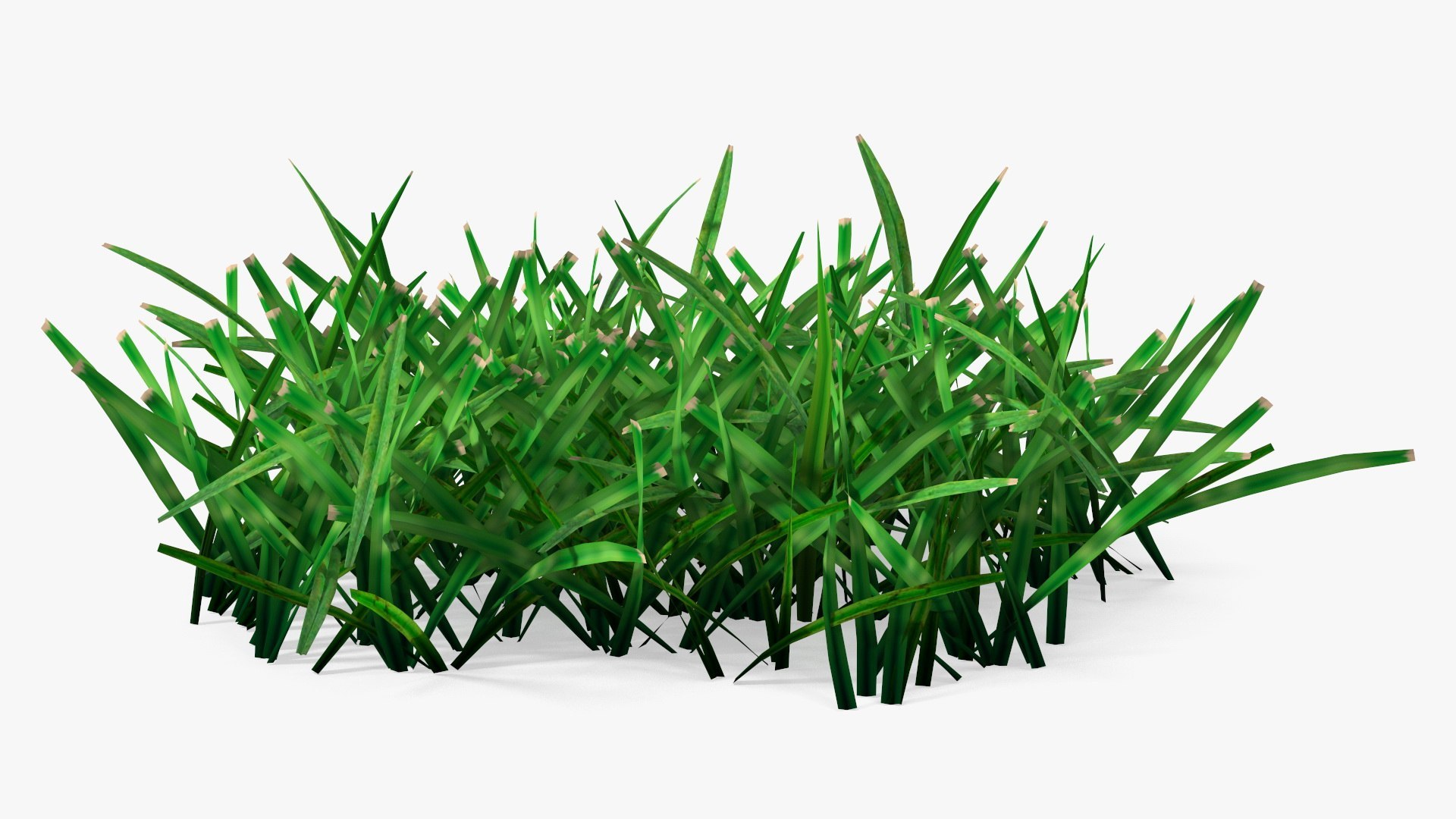 3D Grass Clumps Collection model https://p.turbosquid.com/ts-thumb/Ld/1tmc8i/W9/grass_clumps_collection_025/jpg/1769856147/1920x1080/fit_q87/d5cd879b0206984885df6a22a413a6ec7127485e/grass_clumps_collection_025.jpg
