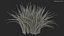 Collection de touffes d'herbe