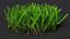 Collection de touffes d'herbe