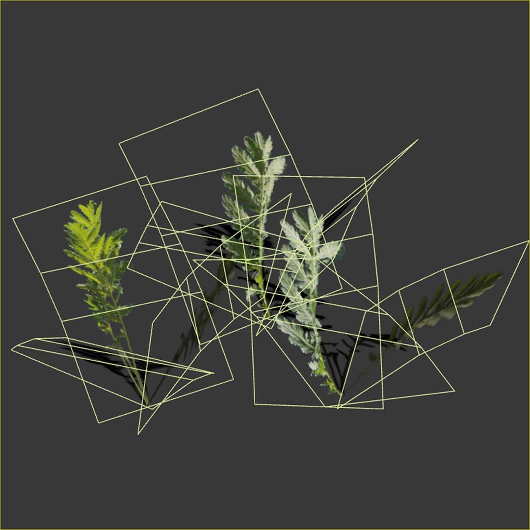 grass complex leaves 3D https://p.turbosquid.com/ts-thumb/Ld/2SETRb/jqvCmYRx/2/jpg/1603153763/1920x1080/fit_q87/5fbe6aa325b0de80ae61ef52a99d180ae709a92c/2.jpg