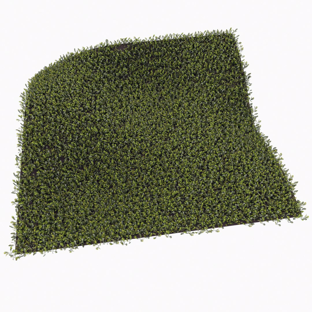 grass complex leaves 3D https://p.turbosquid.com/ts-thumb/Ld/2SETRb/t7062lj0/4/jpg/1603153670/1920x1080/fit_q87/91b849716d02428e1656bd81b00df72903a870d4/4.jpg