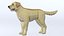 LowPoly-Hund - Labrador
