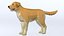 LowPoly-Hund - Labrador
