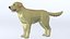 LowPoly-Hund - Labrador