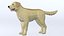 LowPoly-Hund - Labrador