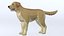 LowPoly-Hund - Labrador