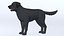 LowPoly-Hund - Labrador