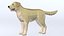 LowPoly-Hund - Labrador