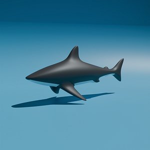 3D shark Low-poly 3D Model model