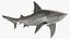 Realistic Bull Shark Rigged for Maya