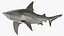 Realistic Bull Shark Rigged for Maya