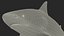 Realistic Bull Shark Rigged for Maya