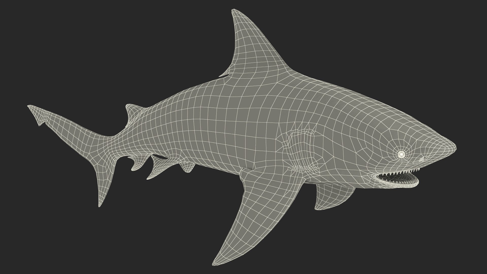 3D Realistic Bull Shark Rigged for Maya model https://p.turbosquid.com/ts-thumb/Ld/JtF9Ta/HB/realistic_bull_shark_rigged_024/jpg/1737020874/1920x1080/fit_q87/6dd54c44b6fef62de7e3ad8346beba8b42611ad2/realistic_bull_shark_rigged_024.jpg