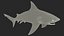 Realistic Bull Shark Rigged for Maya