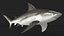 Realistic Bull Shark Rigged for Maya