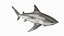 Realistic Bull Shark Rigged for Maya
