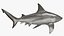 Realistic Bull Shark Rigged for Maya