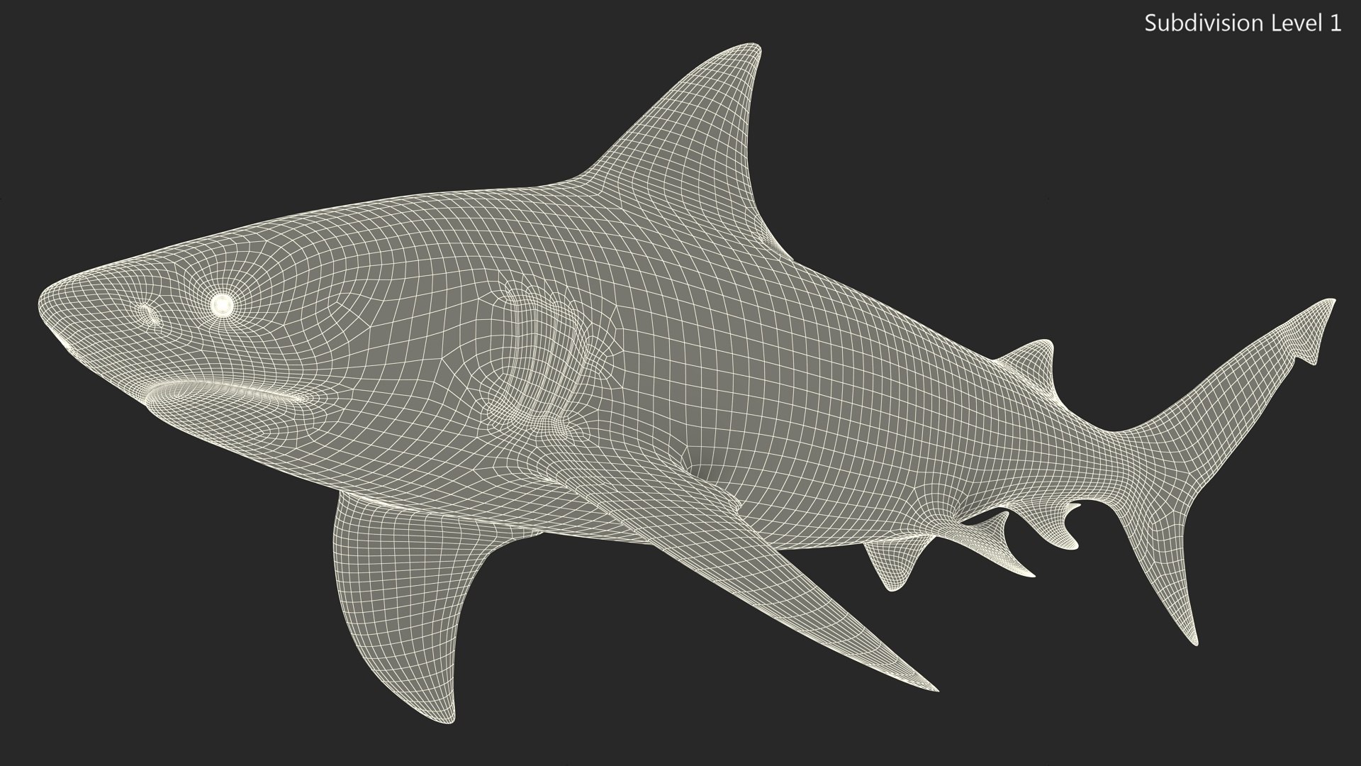 3D Realistic Bull Shark Rigged for Maya model https://p.turbosquid.com/ts-thumb/Ld/JtF9Ta/hJ/realistic_bull_shark_rigged_020/jpg/1737020851/1920x1080/fit_q87/f305da54830d97caa9e75017637f5ce83c17df00/realistic_bull_shark_rigged_020.jpg