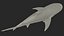 Realistic Bull Shark Rigged for Maya
