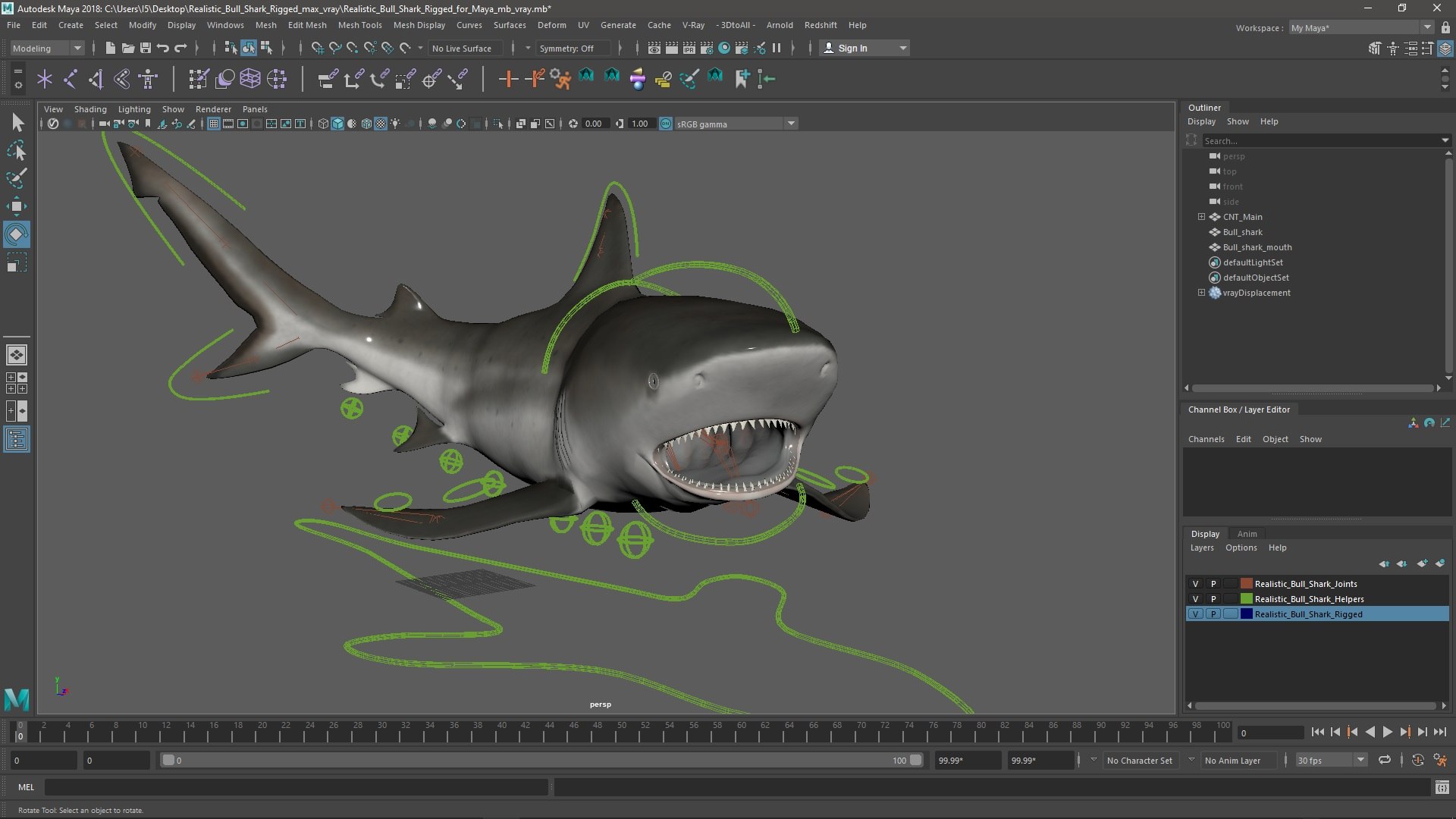 3D Realistic Bull Shark Rigged for Maya model https://p.turbosquid.com/ts-thumb/Ld/JtF9Ta/mt/realistic_bull_shark_rigged_for_maya_006/jpg/1747830008/1920x1080/fit_q87/b4657f298e62fc5b8f27482d69e7055e96c5a625/realistic_bull_shark_rigged_for_maya_006.jpg