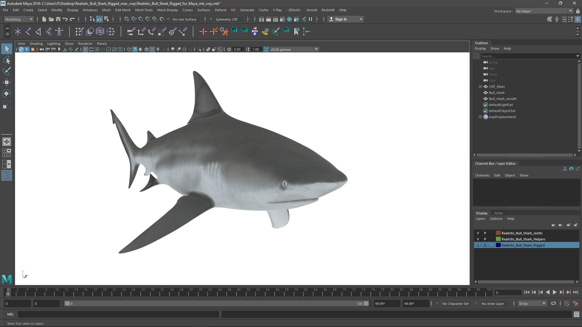 3D Realistic Bull Shark Rigged for Maya model https://p.turbosquid.com/ts-thumb/Ld/JtF9Ta/yq/realistic_bull_shark_rigged_for_maya_005/jpg/1747830009/1920x1080/fit_q87/2cd0f774b952f60de6d1d66723345bad43e58cba/realistic_bull_shark_rigged_for_maya_005.jpg