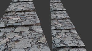 3D Ancient Cobblestone Pathway