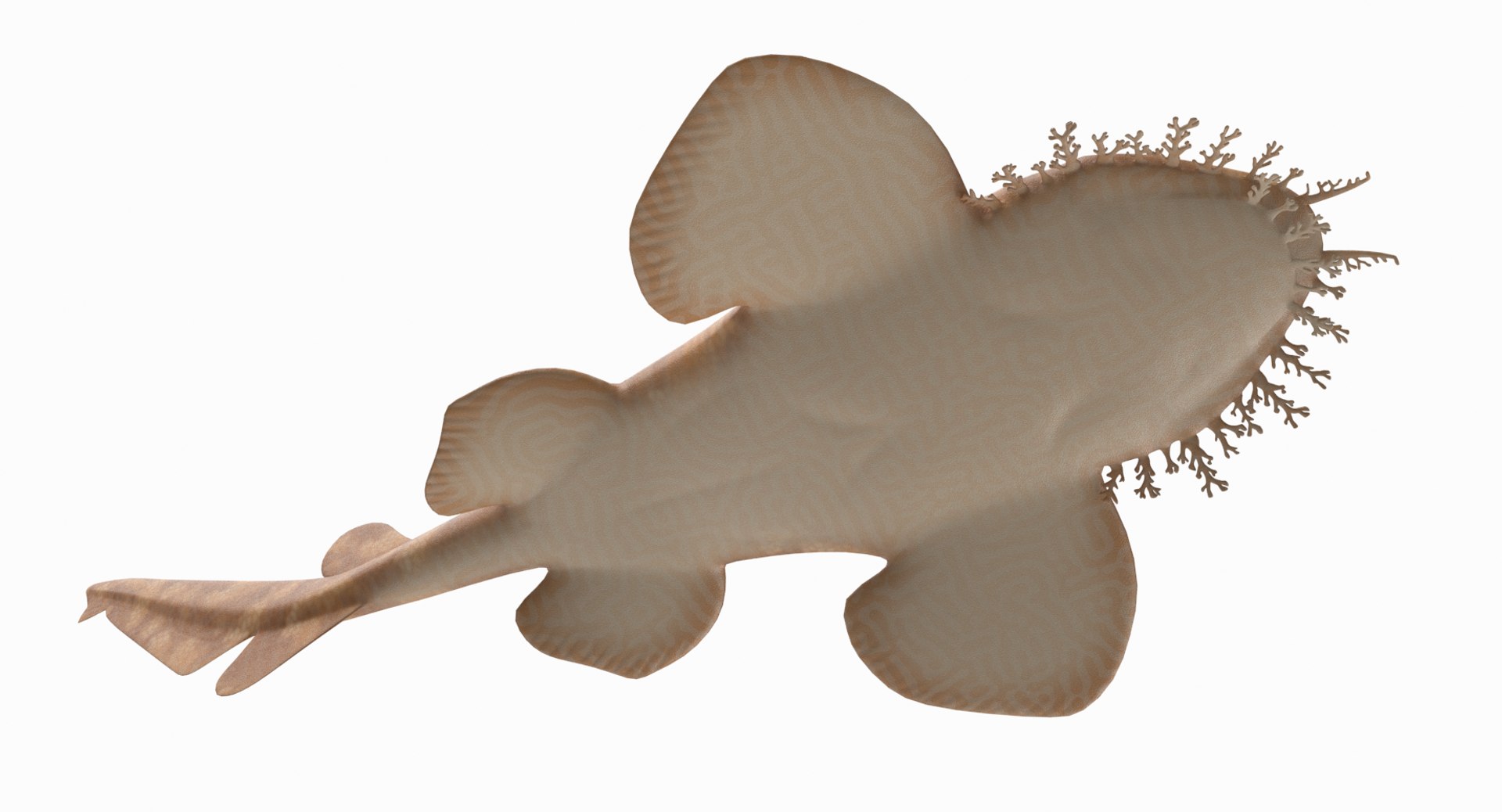 3D model shark sandbar hammerhead https://p.turbosquid.com/ts-thumb/Ld/eks0EA/24hqIdKL/wob_6/png/1538215652/1920x1080/fit_q87/dbca100738878d6690409642d26fbd77dfaf3b79/wob_6.jpg