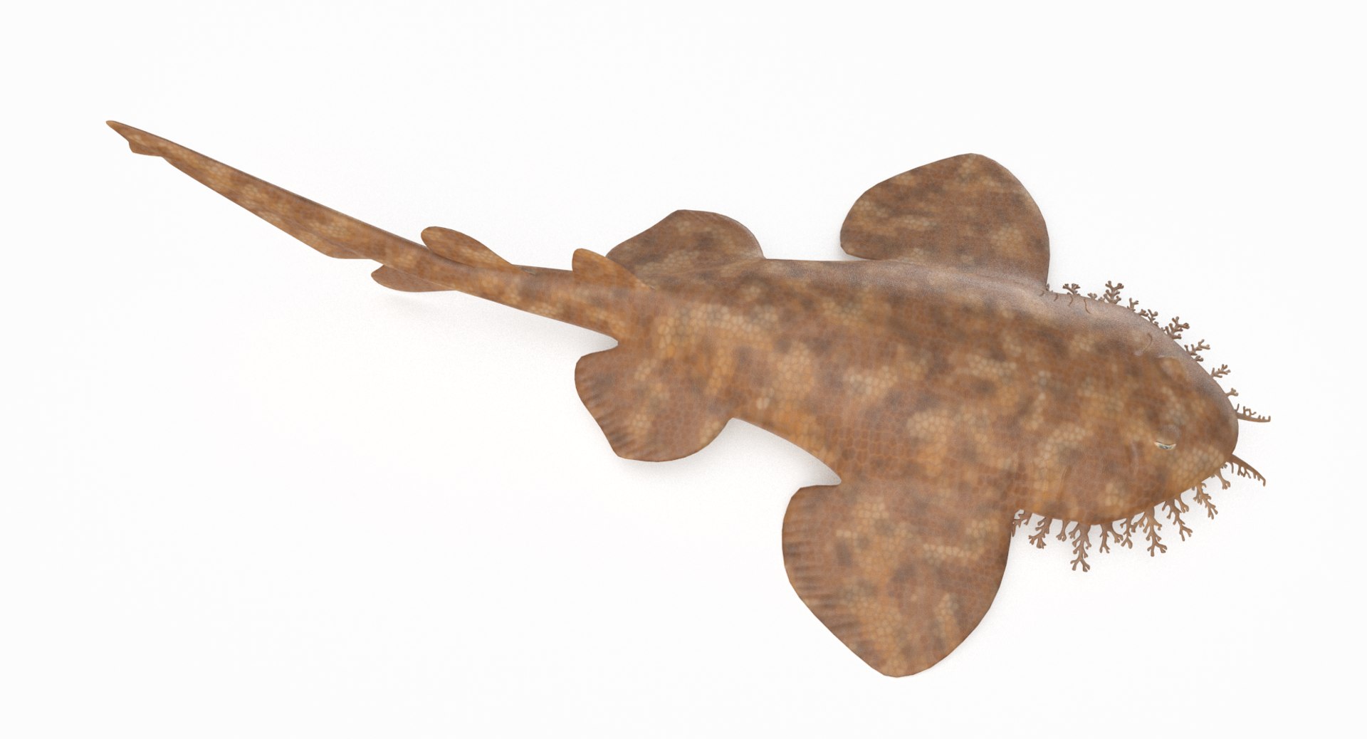 3D model shark sandbar hammerhead https://p.turbosquid.com/ts-thumb/Ld/eks0EA/Ekjbggvn/wob_2/png/1538215652/1920x1080/fit_q87/77314192fab500daa5a238949f8bec66417fc09e/wob_2.jpg