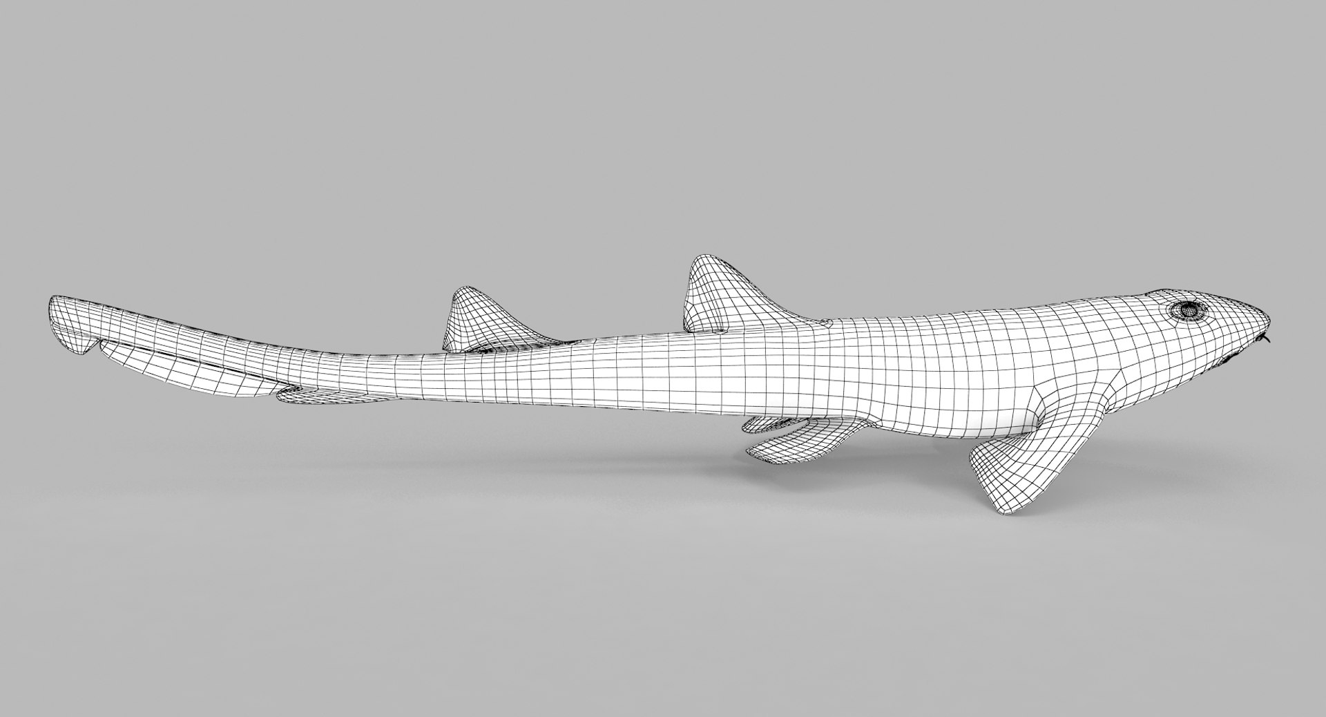 3D model shark sandbar hammerhead https://p.turbosquid.com/ts-thumb/Ld/eks0EA/UtEeN2hk/bambooshark_r1w/jpg/1538215551/1920x1080/fit_q87/3a31a70c3b03eac895a893514b45c12b45a859b6/bambooshark_r1w.jpg