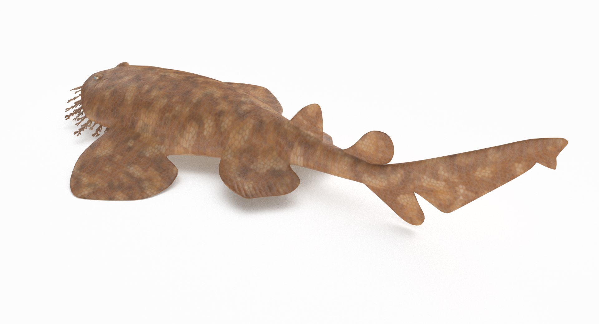 3D model shark sandbar hammerhead https://p.turbosquid.com/ts-thumb/Ld/eks0EA/hqHHT1S6/wob_r5/png/1538215652/1920x1080/fit_q87/f654aaab057c51ee98f6f6348f0fd5758f9e6617/wob_r5.jpg